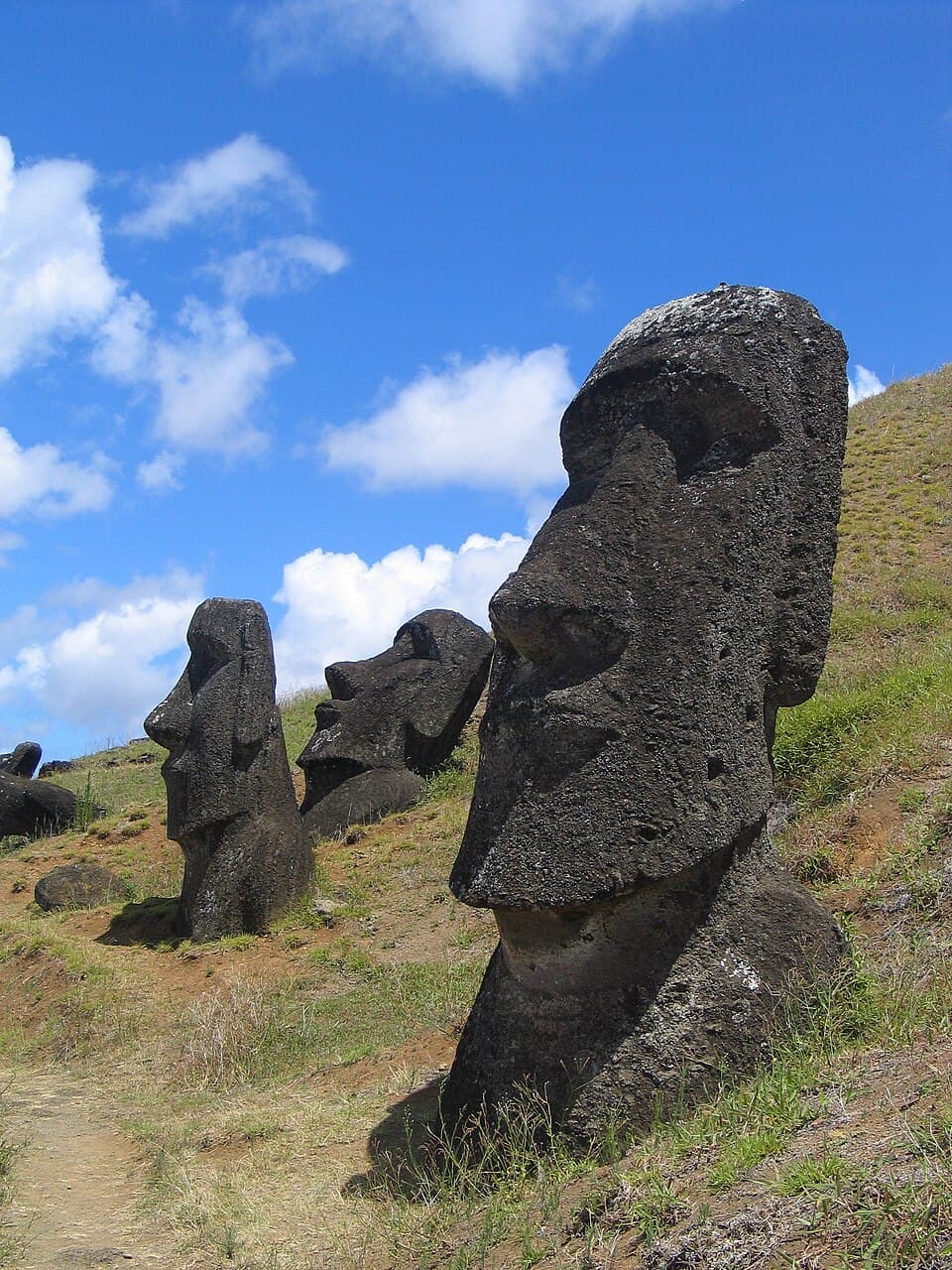 Les Moaï de l'île de Pâques, sculpture de Sculpteurs rapanui : Têtes géantes de pierre volcanique au front lourd, longs nez et lèvres serrées…
