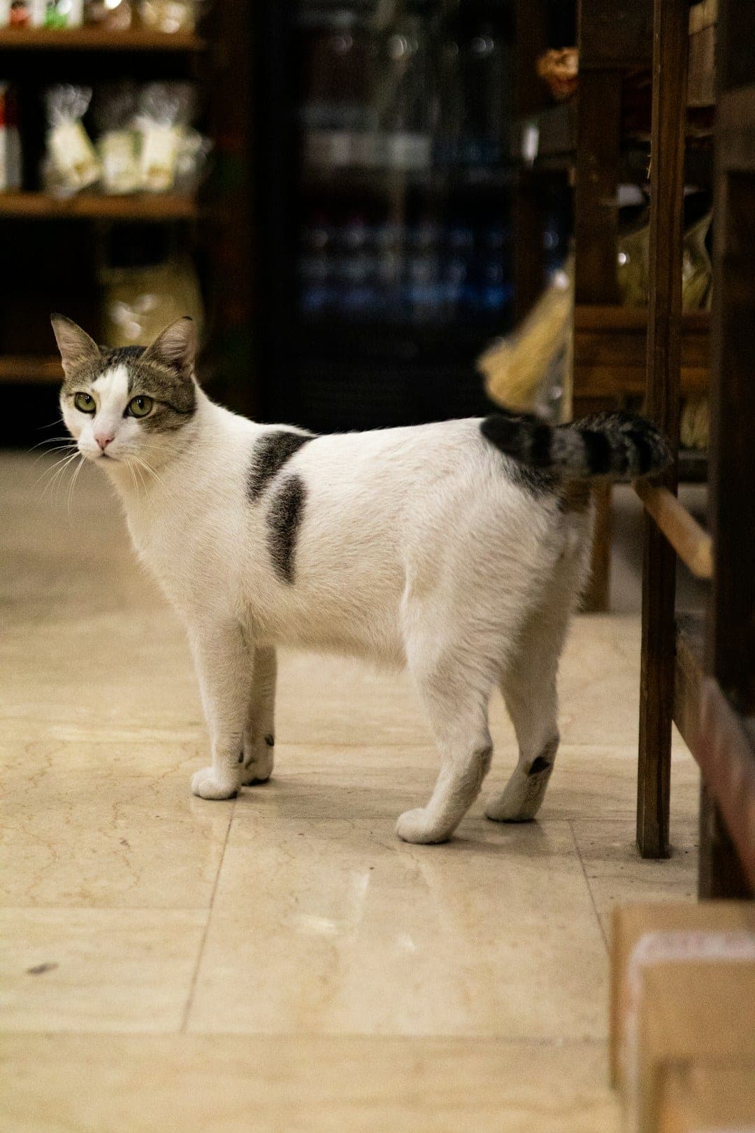 Manx